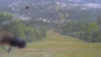 Snímek    12.7.2025 v 07:05