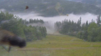 Snímek    12.7.2025 v 07:30