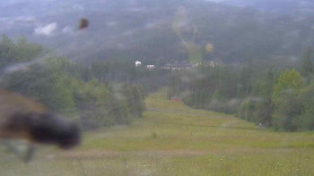 Snímek    12.7.2025 v 07:50