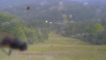 Snímek    12.7.2025 v 08:20
