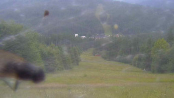 Snímek    12.7.2025 v 08:40