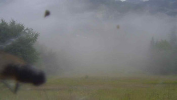 Snímek    13.7.2025 v 07:30