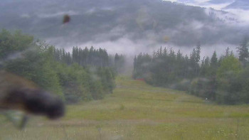 Snímek    15.7.2025 v 07:00