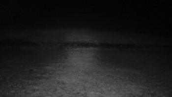 Snímek    13.9.2025 v 23:30