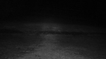 Snímek    15.9.2025 v 03:30
