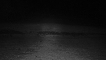 Snímek    16.9.2025 v 23:00