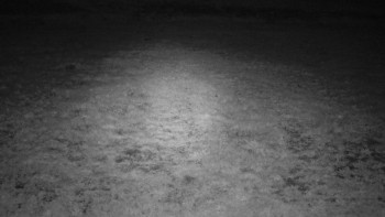Snímek    17.9.2025 v 03:00