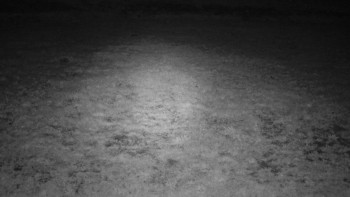 Snímek    17.9.2025 v 03:30
