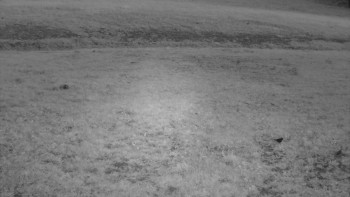 Snímek    19.9.2025 v 06:00