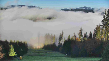 Snímek    4.11.2025 v 09:30