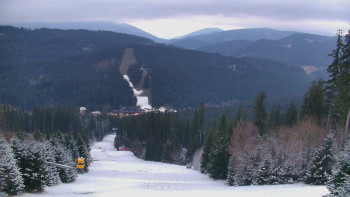 Snímek    20.11.2025 v 07:00