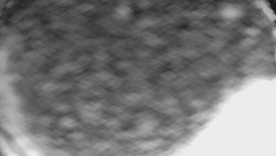 Lyžařské svahy, Smrk, Lysá hora