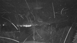 Lyžařské svahy, Smrk, Lysá hora