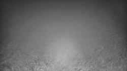 Lyžařské svahy, Smrk, Lysá hora