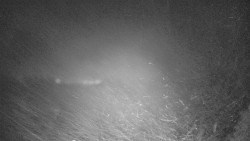 Lyžařské svahy, Smrk, Lysá hora