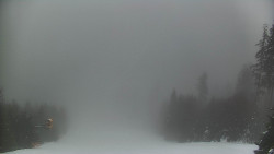 Lyžařské svahy, Smrk, Lysá hora