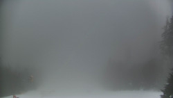 Lyžařské svahy, Smrk, Lysá hora