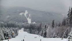 Lyžařské svahy, Smrk, Lysá hora