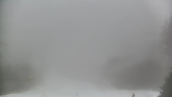 Lyžařské svahy, Smrk, Lysá hora