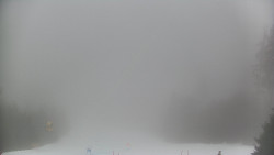 Lyžařské svahy, Smrk, Lysá hora