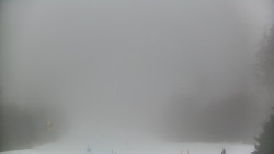 Lyžařské svahy, Smrk, Lysá hora