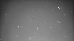 Lyžařské svahy, Smrk, Lysá hora