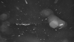 Lyžařské svahy, Smrk, Lysá hora