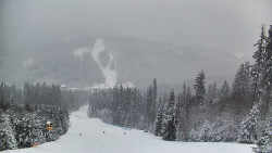 Lyžařské svahy, Smrk, Lysá hora