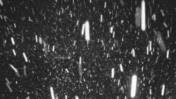 Lyžařské svahy, Smrk, Lysá hora