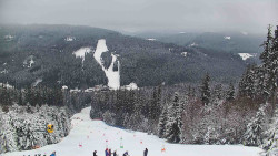 Lyžařské svahy, Smrk, Lysá hora