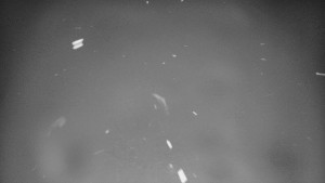 Skiareál Bílá - Lyžařské svahy, Smrk, Lysá hora - 31.3.2026 v 01:30