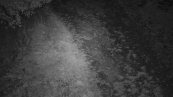 Snímek    10.9.2025 v 03:30