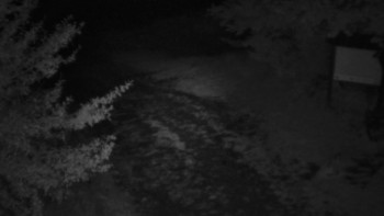Snímek    13.9.2025 v 21:00