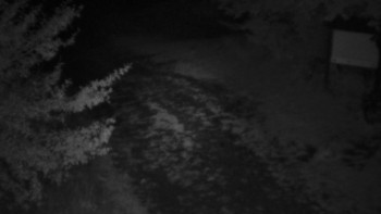 Snímek    13.9.2025 v 21:30