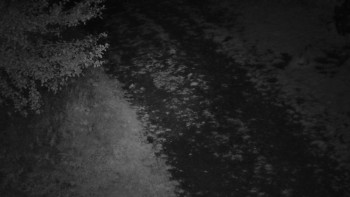 Snímek    14.9.2025 v 00:00