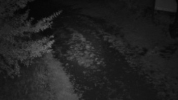 Snímek    15.9.2025 v 03:30