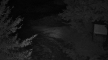 Snímek    15.9.2025 v 22:00
