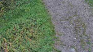 Skiareál Bílá - Lanovka - výstupní stanice - 16.9.2025 v 07:30