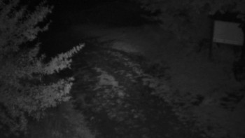 Snímek    16.9.2025 v 21:30