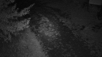 Snímek    16.9.2025 v 23:00