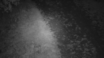 Snímek    17.9.2025 v 03:30