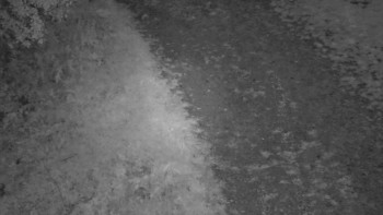 Snímek    17.9.2025 v 06:00