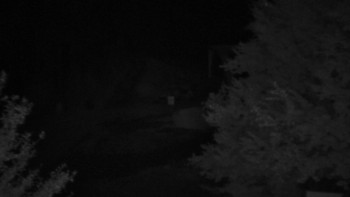 Snímek    17.9.2025 v 20:00