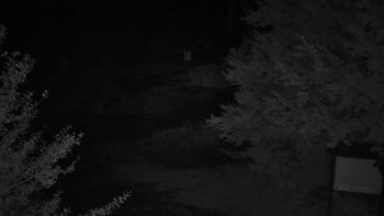 Snímek    17.9.2025 v 21:30