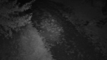 Snímek    19.9.2025 v 00:00