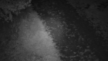 Snímek    19.9.2025 v 03:30