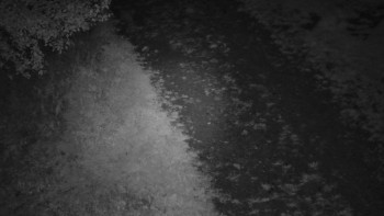 Snímek    19.9.2025 v 05:00