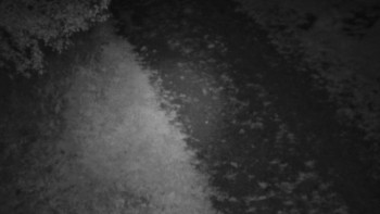 Snímek    19.9.2025 v 05:30