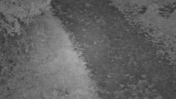 Snímek    19.9.2025 v 06:00