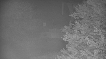 Snímek    16.10.2025 v 05:31